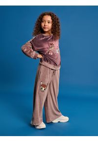 Sinsay - Spodnie wide leg Bambi - brązowy. Kolor: brązowy #1