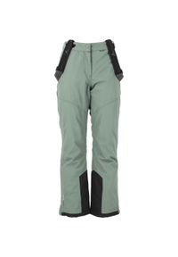 Dziecięce spodnie narciarskie Whistler Drizzle 10000. Kolor: szary, fioletowy, wielokolorowy. Sezon: zima. Sport: narciarstwo #1