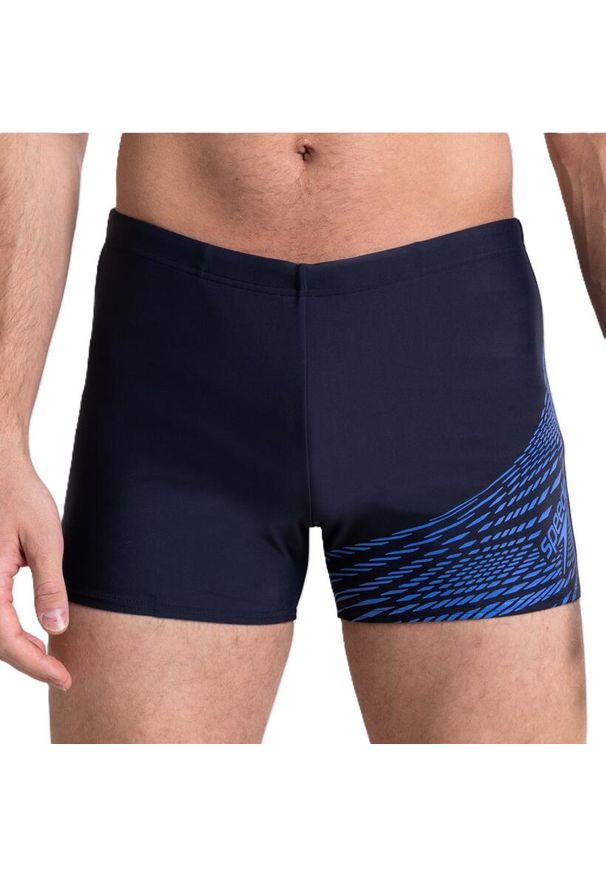 Kąpielówki męskie spodenki kąpielowe Speedo Medley Logo. Kolor: niebieski, wielokolorowy, brązowy, zielony