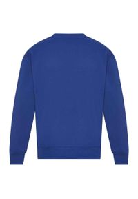 AWDIS - Bluza Dla Dorosłych Unisex Signature Heavyweight. Kolor: niebieski