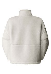 The North Face Polar Extreme Pile NF0A88ZC Beżowy Regular Fit. Kolor: beżowy. Materiał: syntetyk #3