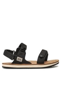 Jack Wolfskin Sandały Ecostride 2 Sandal W 4051771 Czarny. Kolor: czarny. Materiał: materiał