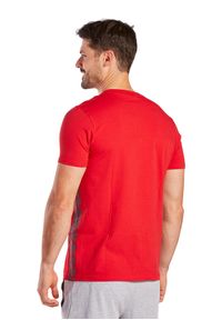 ERIMA - Jersey Erima Essential Team. Kolor: szary, czerwony, wielokolorowy. Materiał: jersey. Sport: piłka nożna #2