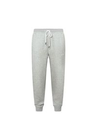 Oakley Spodnie Relax Jogger 2.0 Foa404843-28B. Kolor: szary