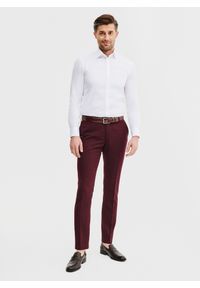 Pako Lorente - PAKO LORENTE – Spodnie garniturowe w kolorze bordowym. Okazja: na ślub cywilny, na co dzień, na wesele. Kolor: czerwony. Materiał: poliester, elastan, wiskoza. Styl: casual, elegancki #8