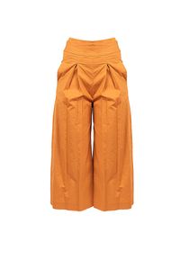 Pinko Spodnie "Teso 4" | 1G161E Y6VX | Teso 4 | Kobieta | Brązowy. Stan: podwyższony. Kolor: brązowy. Materiał: bawełna #4