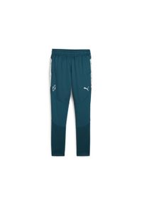 Spodnie Puma Neymar Jr Creativity Training Pants Jr, Dzieci. Kolor: żółty, niebieski, wielokolorowy, pomarańczowy. Materiał: materiał, poliester