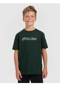 4f - 4F T-shirt regular z nadrukiem chłopięcy - zielony 146 (10-11 lat). Okazja: na uczelnię, na co dzień. Kolor: zielony. Wzór: nadruk. Sezon: lato. Styl: casual, klasyczny #1