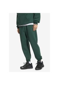 Spodnie dresowe męskie Prosto Darn. Kolor: zielony. Materiał: dresówka #1