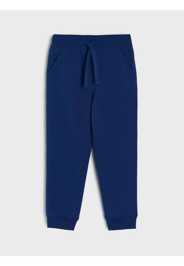 Sinsay - Ocieplane spodnie jogger - mid blue