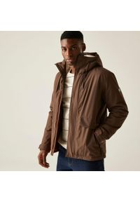 Regatta - Kurtka męska zimowa ocieplana Sterlings. Kolor: brązowy. Materiał: tkanina, puch. Sezon: zima. Sport: turystyka piesza #1