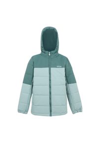 Regatta - Kurtka Dziecięca Ocieplana Lofthouse. Kolor: niebieski, wielokolorowy, zielony #1