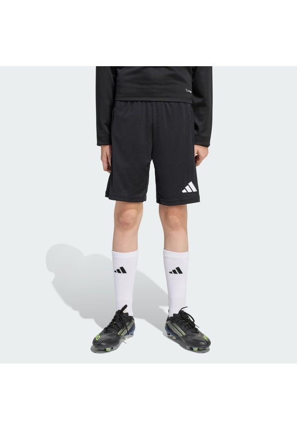 Adidas - Spodenki treningowe dziecięce Entrada 26. Kolor: czarny, wielokolorowy, biały. Styl: klasyczny, sportowy