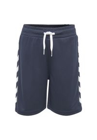 Szorty dziecięce Hummel hmlthim. Okazja: na uczelnię. Kolor: szary, niebieski, wielokolorowy, zielony. Styl: sportowy. Sport: joga i pilates #1