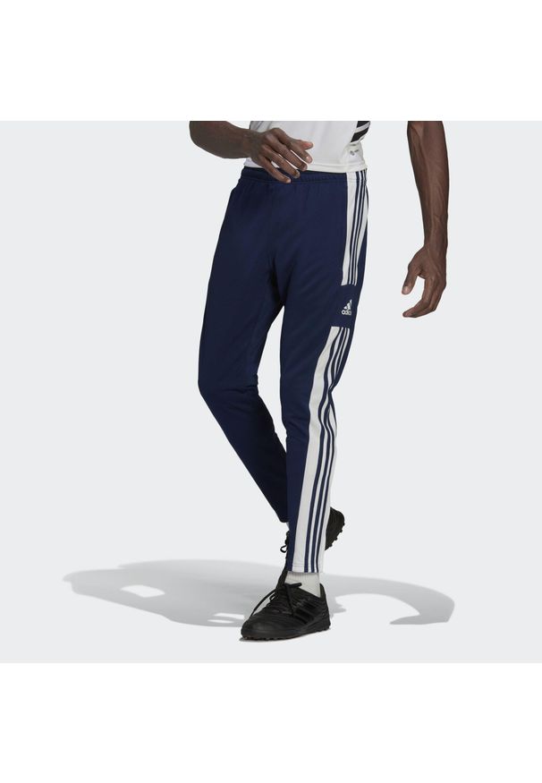 Adidas - Spodnie piłkarskie męskie adidas Squadra 21 Training Pant. Kolor: wielokolorowy, biały, niebieski. Sport: piłka nożna