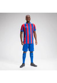 UHLSPORT - Dżersej w paski Uhlsport Retro Stripe. Kolor: czerwony, niebieski, wielokolorowy. Materiał: jersey. Wzór: paski. Sport: piłka nożna