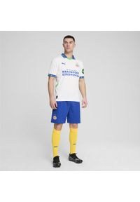 Puma - Męska trzecia koszulka PSV Eindhoven 24/25 PUMA White Cobalt Glaze Blue. Kolor: biały, niebieski, wielokolorowy. Wzór: paski