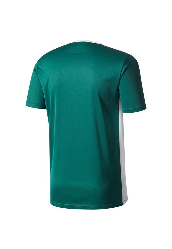 Adidas - Koszulka dla dzieci adidas Entrada 18 Jersey JUNIOR. Kolor: biały, wielokolorowy, zielony. Materiał: jersey. Sport: piłka nożna