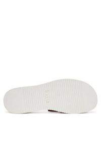 skechers - Skechers Klapki BOBS Desert Kiss Low-Peak Look 114707/CSNT Brązowy. Kolor: brązowy. Materiał: skóra