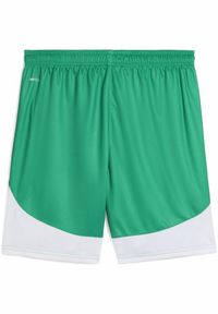 Puma - Męskie szorty piłkarskie SK Rapid Wiedeń PUMA Sport Green White. Kolor: biały, zielony, wielokolorowy. Sport: piłka nożna