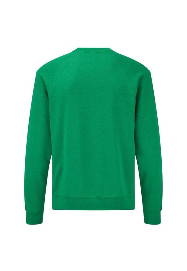 FRUIT OF THE LOOM - Męski Klasyczny Raglanowy Sweter. Kolor: zielony. Długość rękawa: raglanowy rękaw