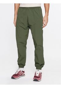 Reebok Spodnie dresowe Classics Vector IL4563 Zielony Regular Fit. Kolor: zielony. Materiał: syntetyk #1