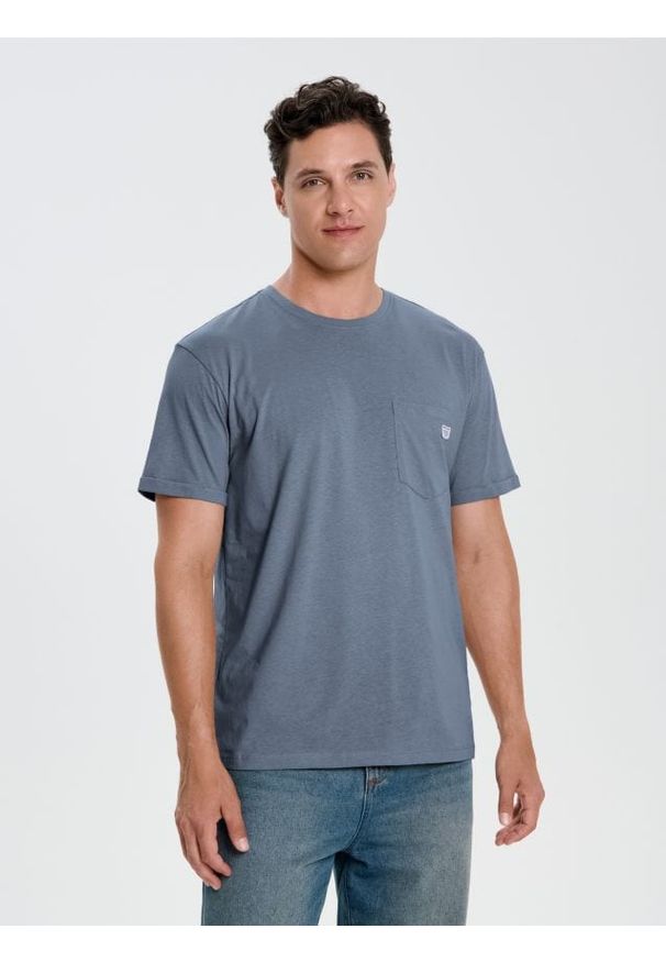 Sinsay - Bawełniana koszulka - szary. Kolor: szary. Materiał: bawełna