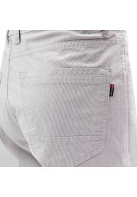 Lekkie, Bawełniane Szorty (Krótkie Spodenki) - Pako Jeans - Popiel w Prążek. Materiał: bawełna, elastan. Długość: krótkie. Wzór: prążki. Sezon: lato. Styl: klasyczny #2