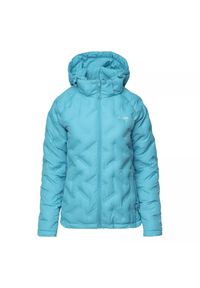 Damska kurtka z kapturem Elbrus Allio Primaloft. Typ kołnierza: kaptur. Kolor: niebieski. Materiał: puch. Technologia: Primaloft. Sport: turystyka piesza #1