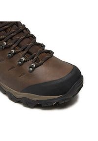 MEINDL - Meindl Trekkingi Chile Lady Gtx GORE-TEX 2998/46 Brązowy. Kolor: brązowy. Materiał: skóra, nubuk