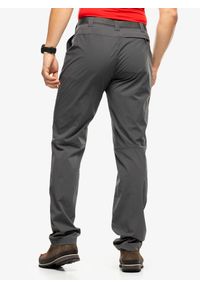 Spodnie trekkingowe męskie Montane Terra Lite Pants. Kolor: szary. Sezon: lato. Sport: turystyka piesza #2
