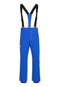Descente Spodnie narciarskie Swiss DWMOGD20 Niebieski Regular Fit. Kolor: niebieski. Materiał: syntetyk. Sport: narciarstwo #4