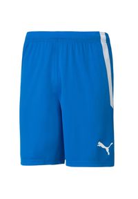 Puma - Męskie Spodenki Team Liga. Kolor: niebieski