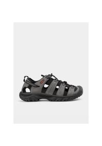 keen - Sandały trekkingowe męskie Keen Targhee III Sandal. Kolor: szary