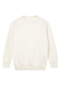 MANTIS - Bluza Dziecięca Essential Plain. Kolor: beżowy, szary, wielokolorowy