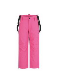 SWISS-SKI - Dziecięce spodnie narciarskie Loaf Fumo 164 wodoodporne. Kolor: szary, niebieski, wielokolorowy. Sezon: zima. Sport: narciarstwo #1