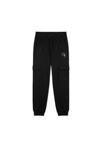 Spodnie męskie Diadora Essential Sport. Kolor: czarny. Długość: długie