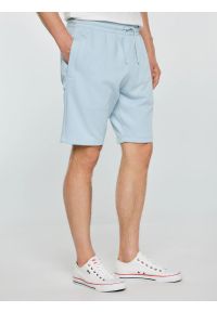 Big-Star - Szorty męskie dresowe jasnoniebieskie Luiss 400. Kolor: niebieski. Materiał: dresówka. Wzór: aplikacja, haft, ze splotem. Sezon: lato. Styl: wakacyjny, elegancki #5