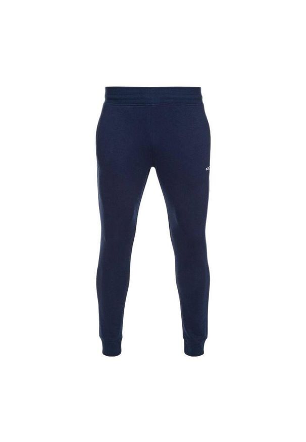 CAPELLI SPORT - Spodnie piłkarskie męskie Capelli Basics Adult Tapered French Terry. Kolor: niebieski. Materiał: dresówka. Styl: sportowy