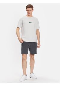 Quiksilver T-Shirt Alpha Dog EQYKT04279 Szary Regular Fit. Kolor: szary. Materiał: bawełna #4