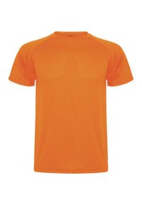 ROLY - Męska Koszulka Sportowa Montecarlo Z Krótkim Rękawem. Kolor: pomarańczowy. Długość rękawa: krótki rękaw. Długość: krótkie. Sport: turystyka piesza