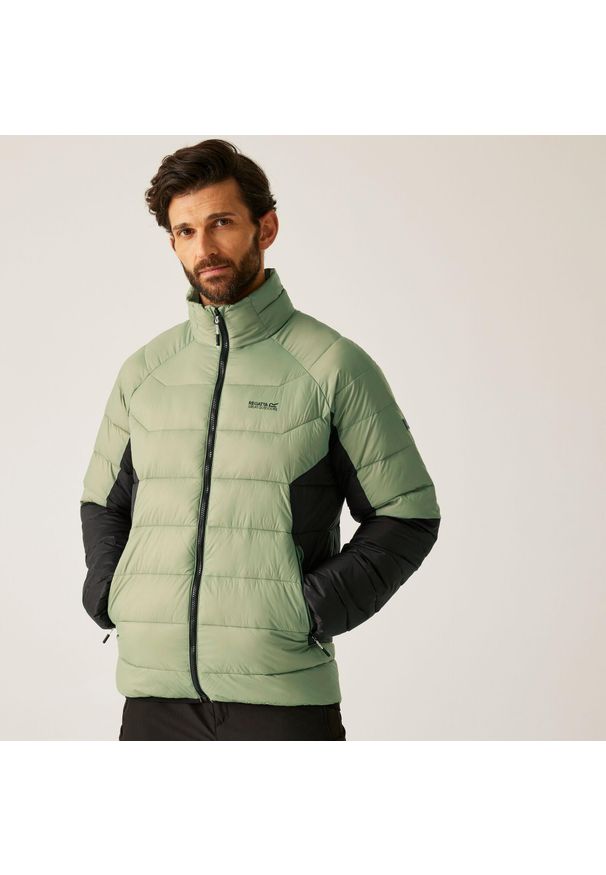 Regatta - Kurtka męska przejściowa ocieplana Dalent. Kolor: zielony. Materiał: puch, syntetyk. Sport: turystyka piesza
