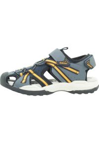 Geox - Sandały GEOX J BOREALIS B. B Niebieski. Kolor: niebieski. Materiał: syntetyk, tkanina. Sport: turystyka piesza
