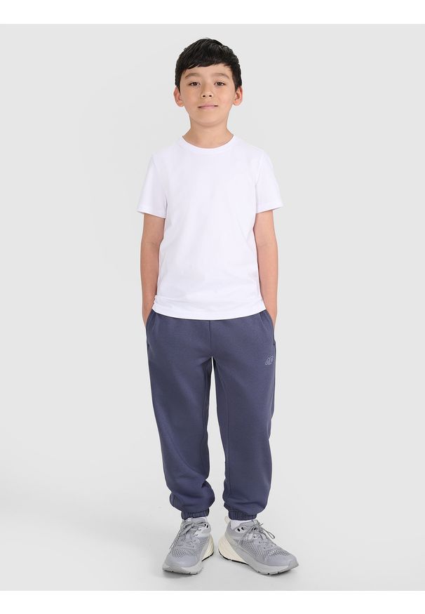 4f - 4F T-shirt regular gładki chłopięcy - biały 164 (13-14 lat). Okazja: na co dzień. Kolor: biały. Materiał: bawełna, jersey, materiał. Długość rękawa: krótki rękaw. Długość: krótkie. Wzór: gładki. Sezon: lato. Styl: sportowy, młodzieżowy, klasyczny, casual