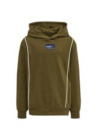 Bluza z kapturem dla dzieci Hummel Ditmer. Typ kołnierza: kaptur. Kolor: wielokolorowy, zielony, brązowy #1
