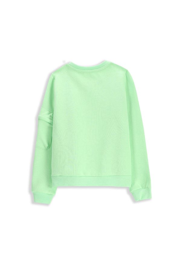 Lemon Explore - Bluza sportowa dla dzieci Lemon Exlopre WL5. Kolor: zielony. Materiał: bawełna, poliester