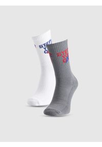 4f - 4F Skarpety casual za kostkę (2-pack) męskie - multikolor 39-42. Kolor: wielokolorowy. Materiał: bawełna