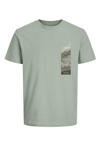 Volcano - Bawełniany t-shirt T-SIDE. Materiał: bawełna. Długość rękawa: krótki rękaw. Długość: krótkie. Wzór: nadruk, jednolity. Styl: klasyczny #1