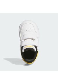 Adidas - Hoops Shoes. Kolor: biały, wielokolorowy, czarny, szary. Sport: tenis