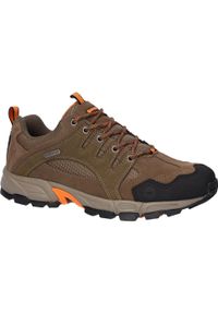 Hi-tec - Buty trekkingowe męskie Hi-Tec Auckland Lite Wp. Zapięcie: sznurówki. Kolor: wielokolorowy, pomarańczowy, czarny, brązowy. Materiał: materiał, skóra, tkanina. Szerokość cholewki: normalna